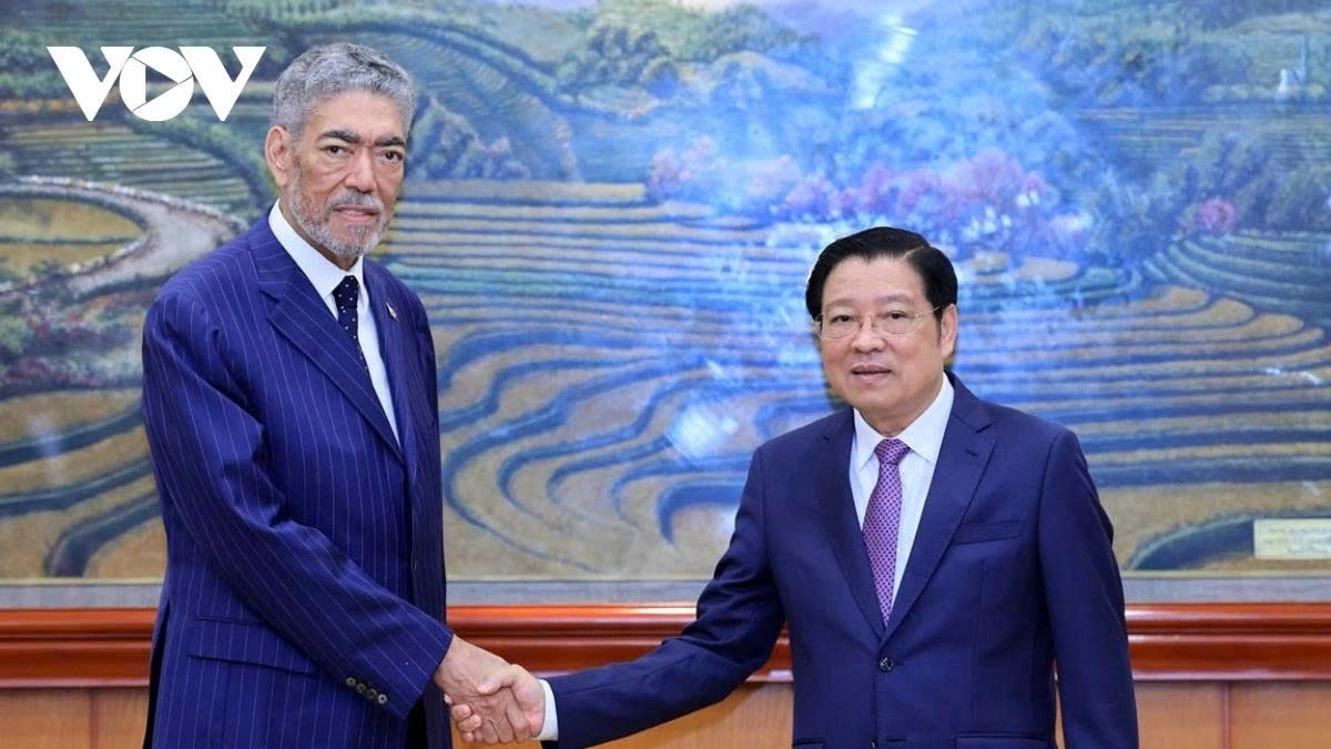 Dominican Republic learns from Vietnam’s development, integration experience